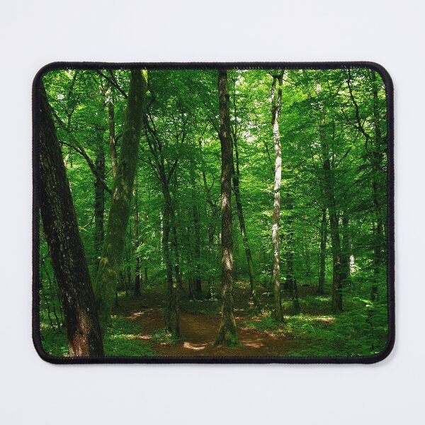 Item preview, Hidden forest designed and sold by Megan-Alice.