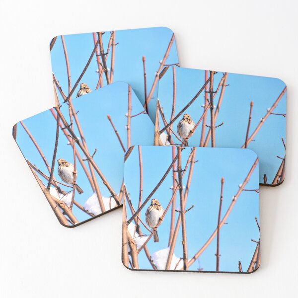 Item preview, Lil Thrush Tweets designed and sold by DonnaM.