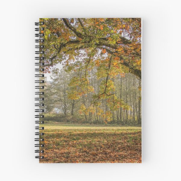 Item preview, Autumn Archway designed and sold by Marie Cardona.