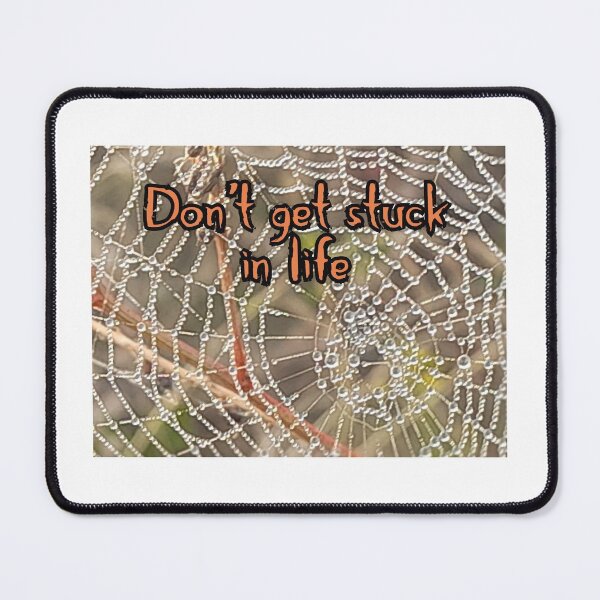 Item preview, Spiderweb designed and sold by MimiSandell.
