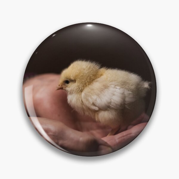 Item preview, Yellow Chick designed and sold by Laura McOrmond.