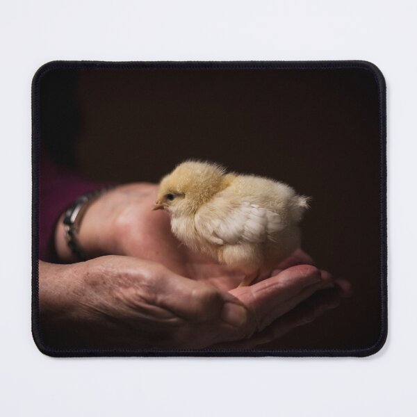 Item preview, Yellow Chick designed and sold by Laura McOrmond.