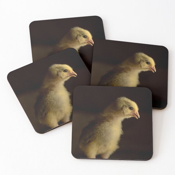 Item preview, Baby Chick 2 designed and sold by Laura McOrmond.