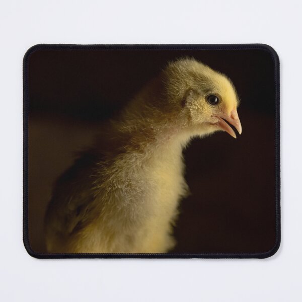 Item preview, Baby Chick 2 designed and sold by Laura McOrmond.