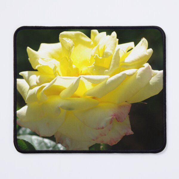Item preview, Yellow Blossom designed and sold by Rainy.