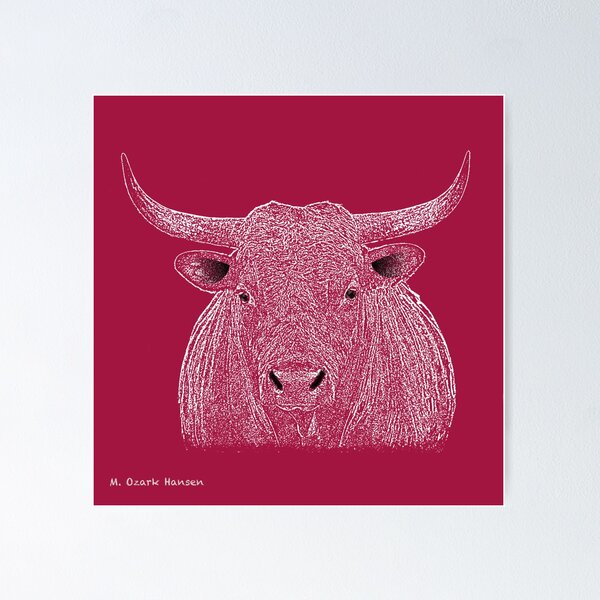 Rocky Bull Sketch Poster