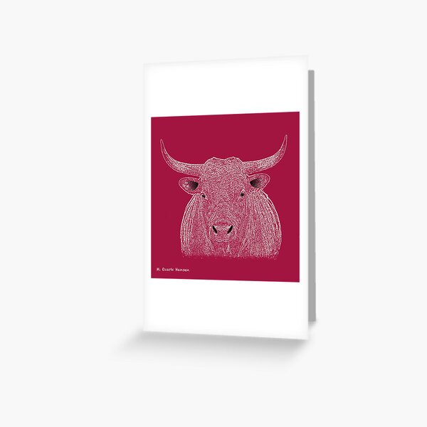 Rocky Bull Sketch Greeting Card