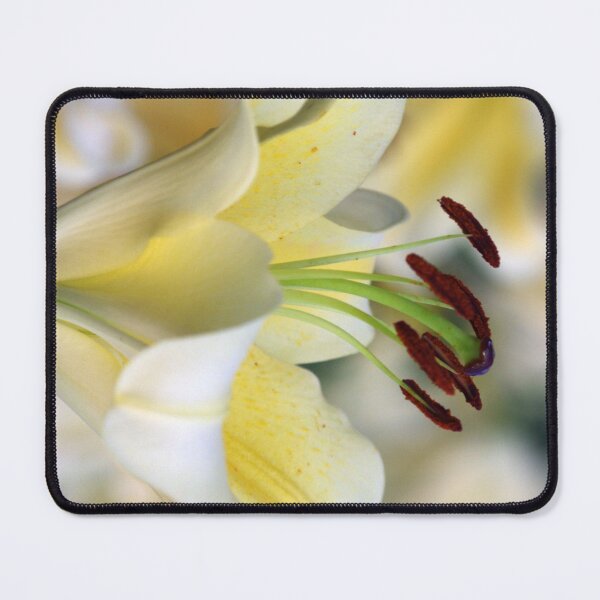 Item preview, White Lily designed and sold by Rainy.