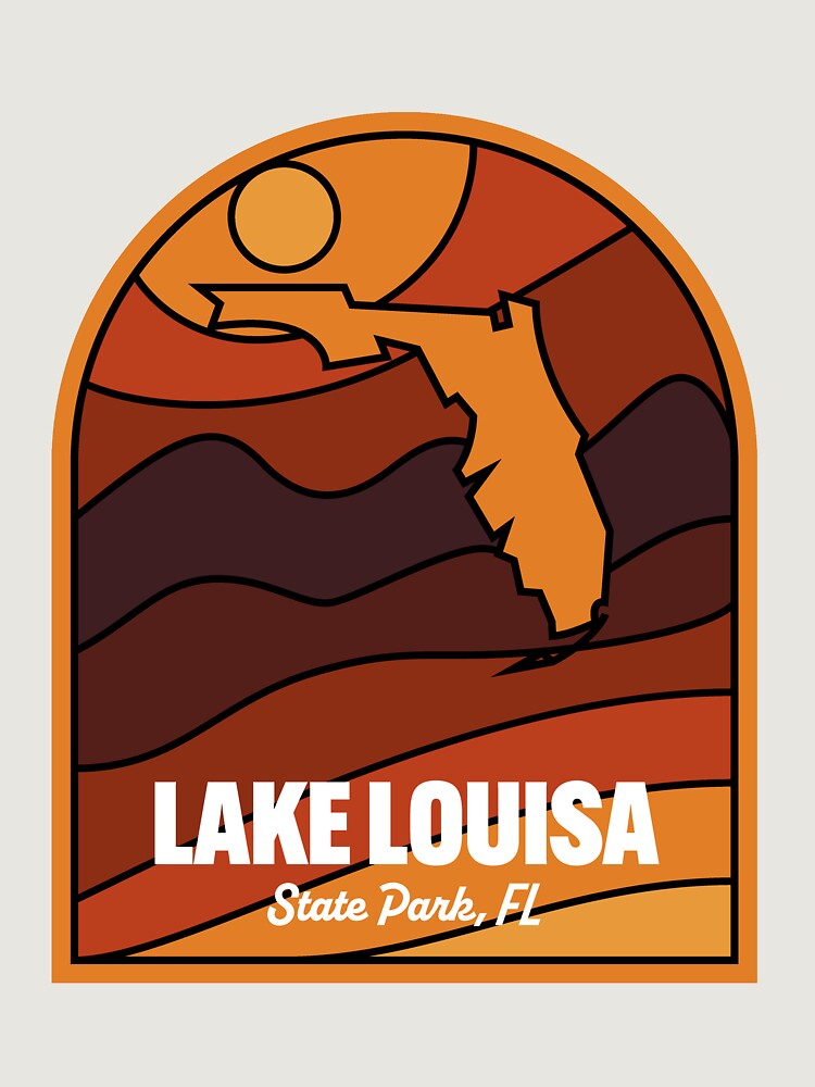 Imagen 6 de 6, Sudadera con capucha oversize prémium con la obra Lake Louisa State Park Florida, diseñada y vendida por HalpinDesign.