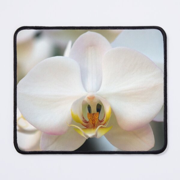 Item preview, White Orchid designed and sold by Rainy.
