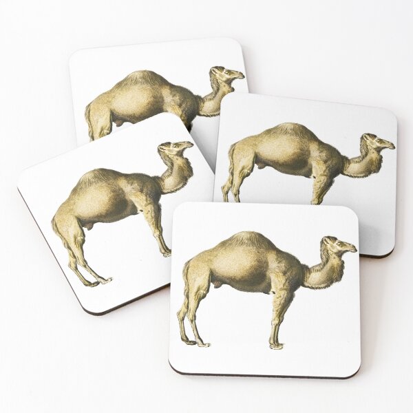 Item preview, Vintage Camel Illustration by Charles Dessalines D Orbigny designed and sold by Happy-Trails.