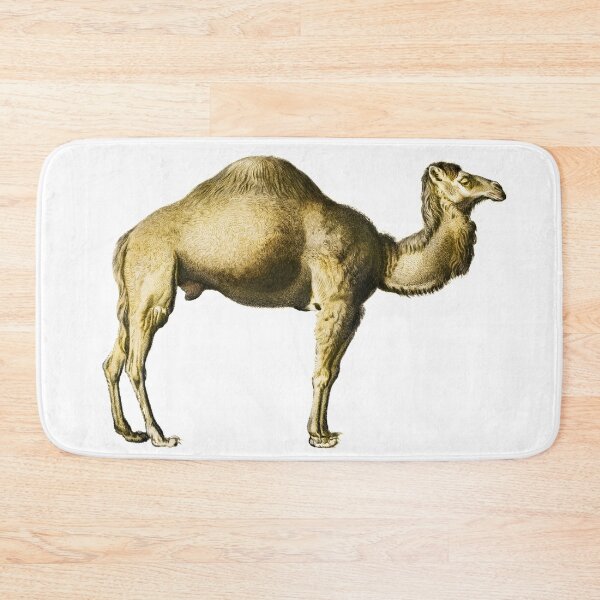 Item preview, Vintage Camel Illustration by Charles Dessalines D Orbigny designed and sold by Happy-Trails.