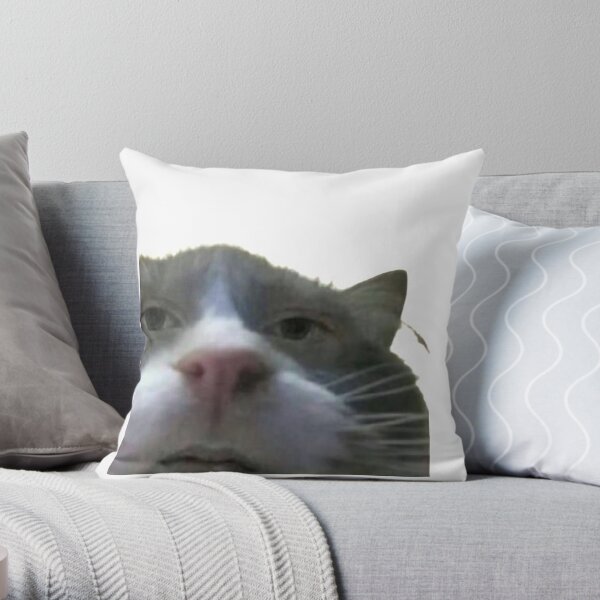 https://ih1.redbubble.net/image.3126908446.9763/throwpillow,small,600x-bg,f8f8f8-c,0,120,600,600.u1.jpg