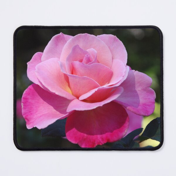 Item preview, Sweet Rose designed and sold by Rainy.