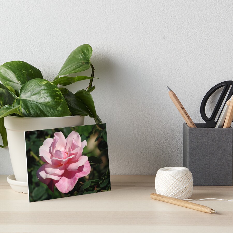 Item preview, Art Board Print designed and sold by Rainy.