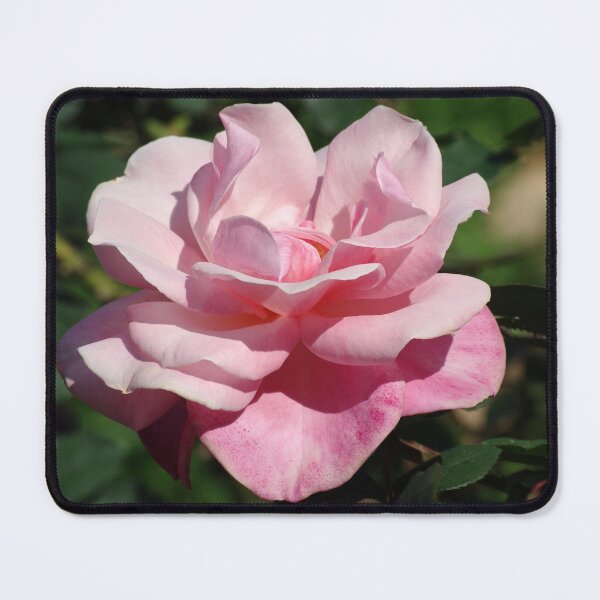 Item preview, Pink Roses designed and sold by Rainy.