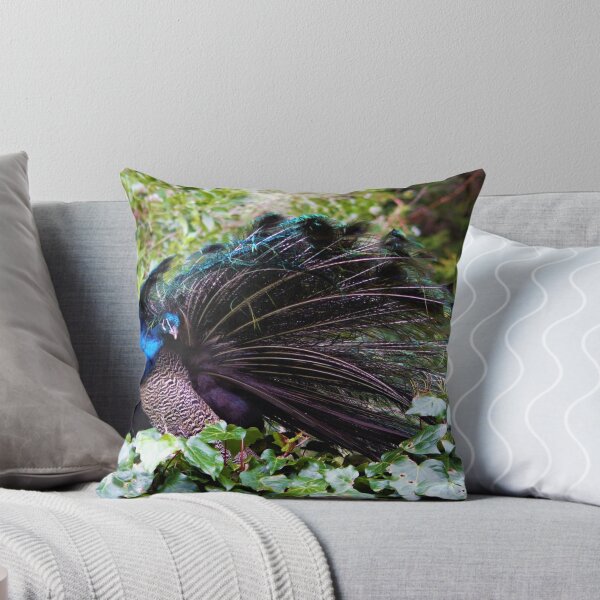 Item preview, Peacock designed and sold by Louisa Sahin.