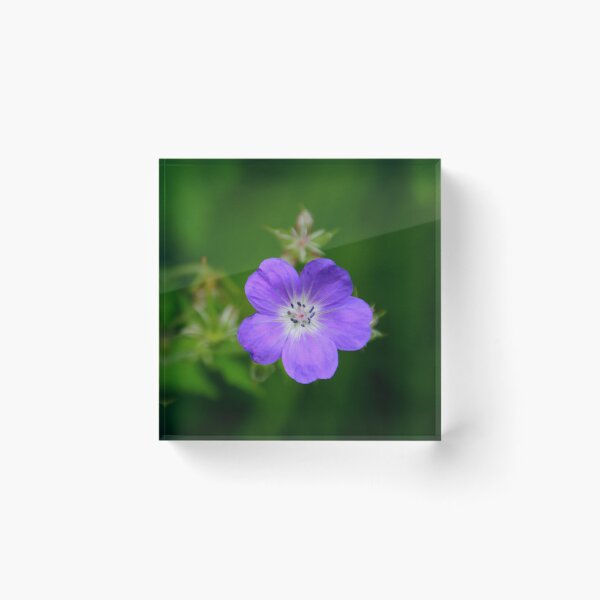 Item preview, Purple wildflower designed and sold by wondertree.