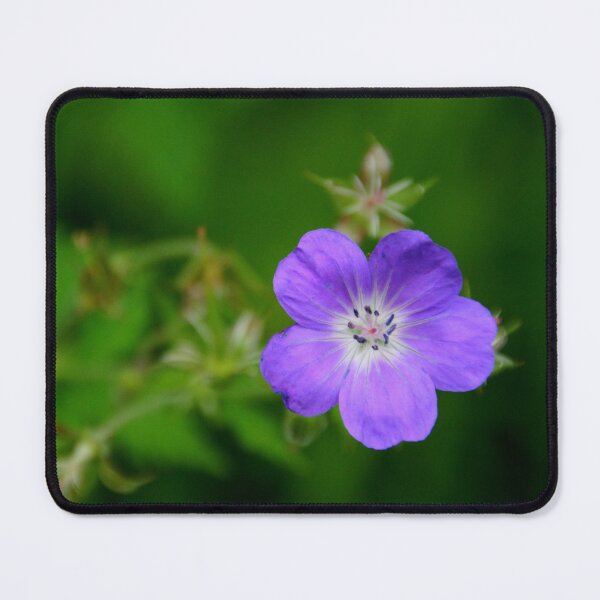 Item preview, Purple wildflower designed and sold by wondertree.