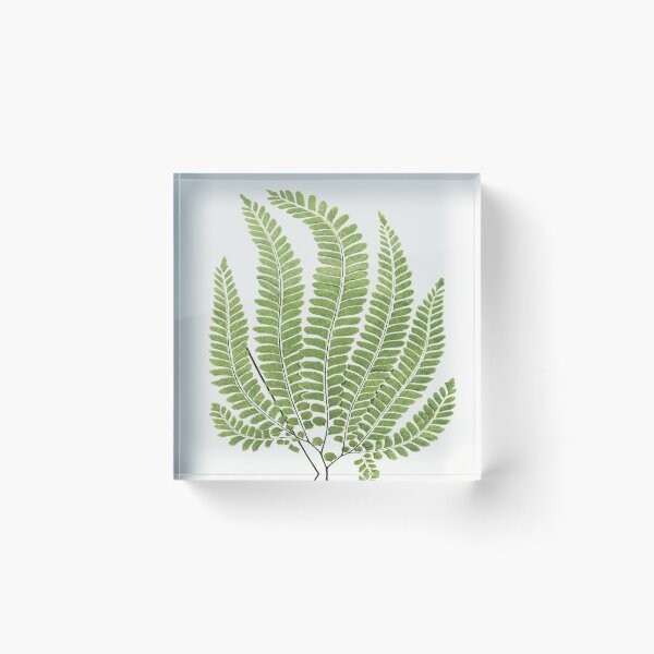 Item preview, Fantastic Fern Fronds designed and sold by ZinZoe.