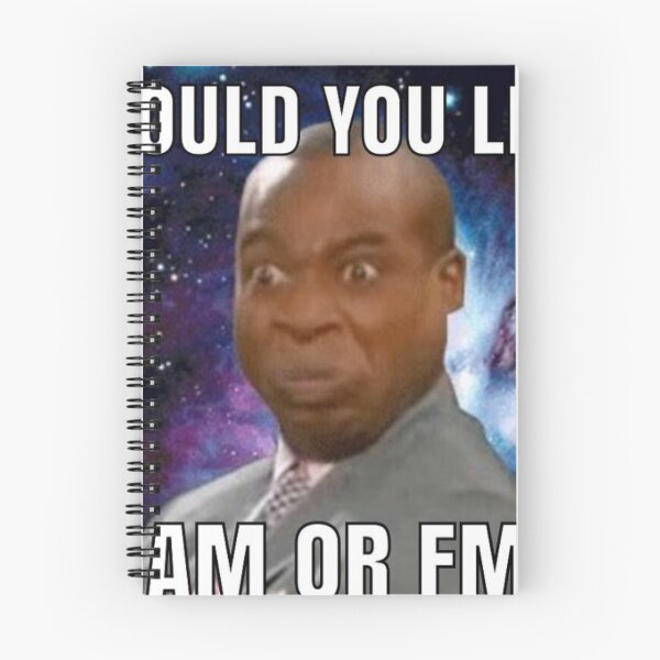 Item preview, Would You Like AM or FM designed and sold by gameshowfan2001.