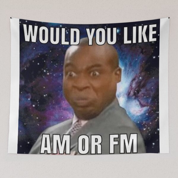 Item preview, Would You Like AM or FM designed and sold by gameshowfan2001.