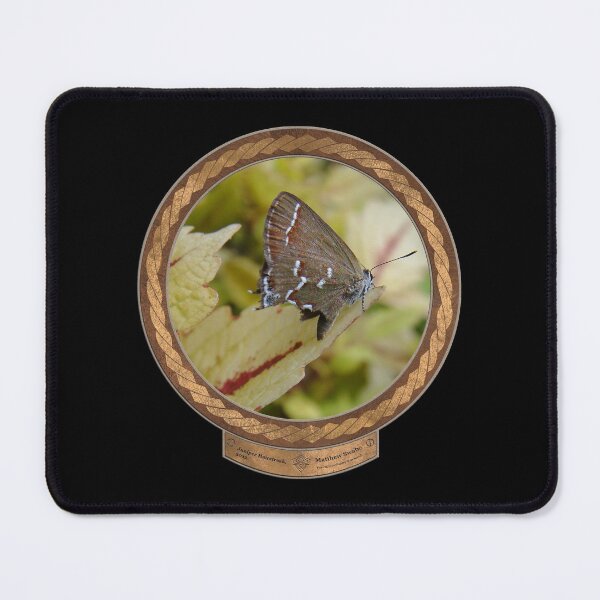 Item preview, Juniper Hairstreak designed and sold by Swabcraft.