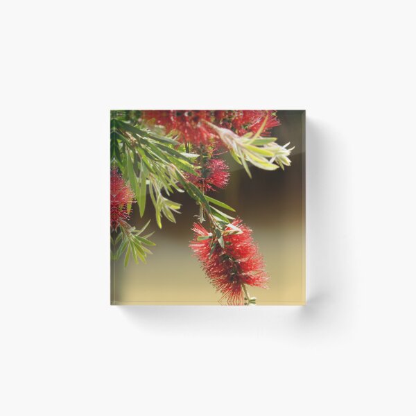 Item preview, Red bottle brush flowers designed and sold by Louisa Sahin.