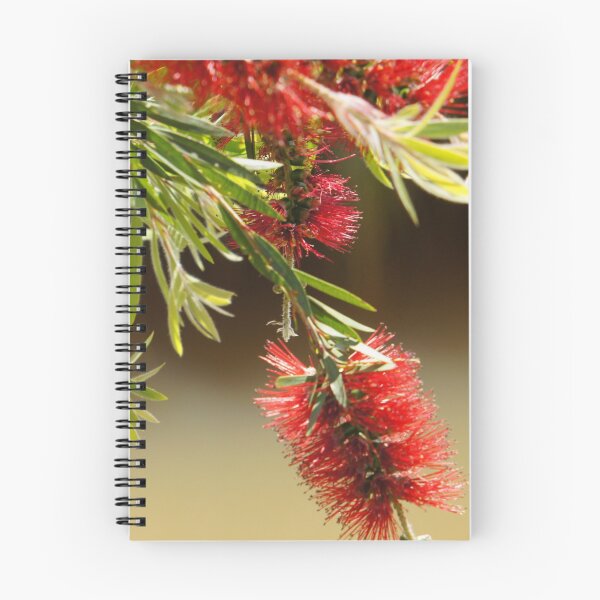 Item preview, Red bottle brush flowers designed and sold by Louisa Sahin.