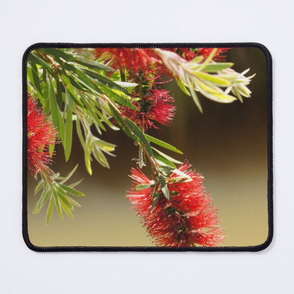 Item preview, Red bottle brush flowers designed and sold by Louisa Sahin.