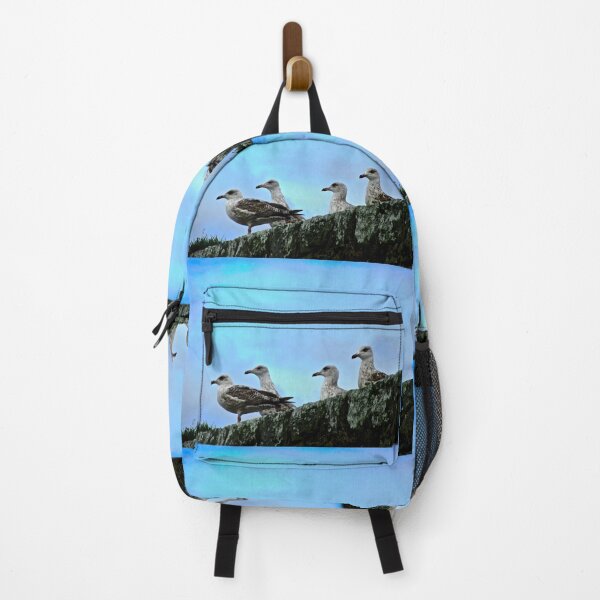 Item preview, Seagulls at Milk Harbour, Sligo designed and sold by Shulie1.