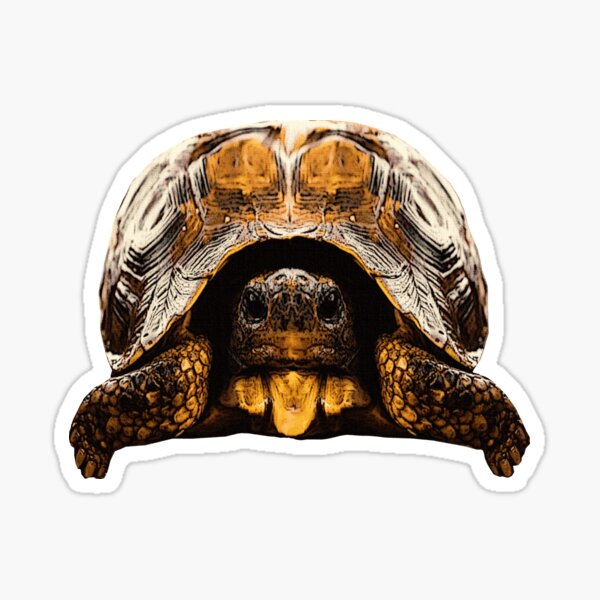 Item preview, cute reptile photo, tortoises, great turtoise motifs designed and sold by Kirei-Lily.