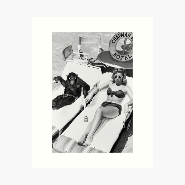 Item preview, Lady and Chimp Sunbathing, Black and White, Vintage Art designed and sold by modernretro.