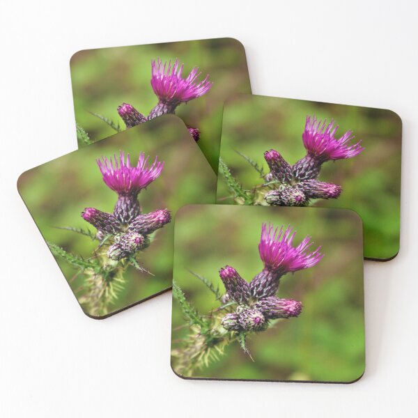Item preview, Thistle in flower  designed and sold by Louisa Sahin.