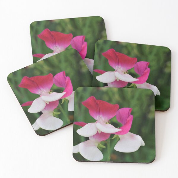 Item preview, Pink and White Sweet Pea Flowers designed and sold by Louisa Sahin.