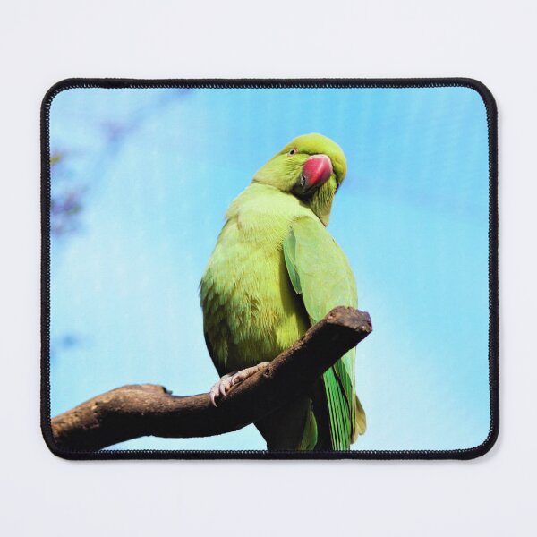 Item preview, Green Indian Ring Neck Parrot  designed and sold by Louisa Sahin.