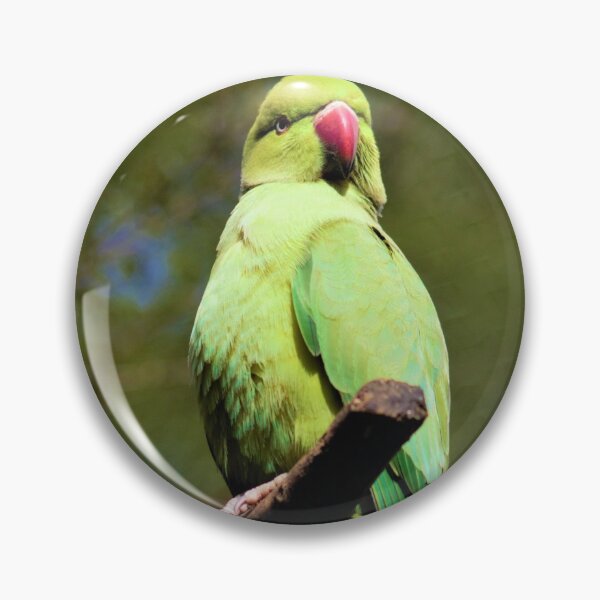 Item preview, Green Indian Ring Neck Parrot  designed and sold by Louisa Sahin.