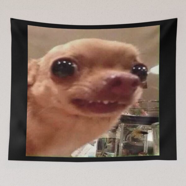 Item preview, Cute little Chihuahua meme designed and sold by los-memes.