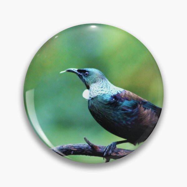 Item preview, New Zealand Tui on branch  designed and sold by Louisa Sahin.