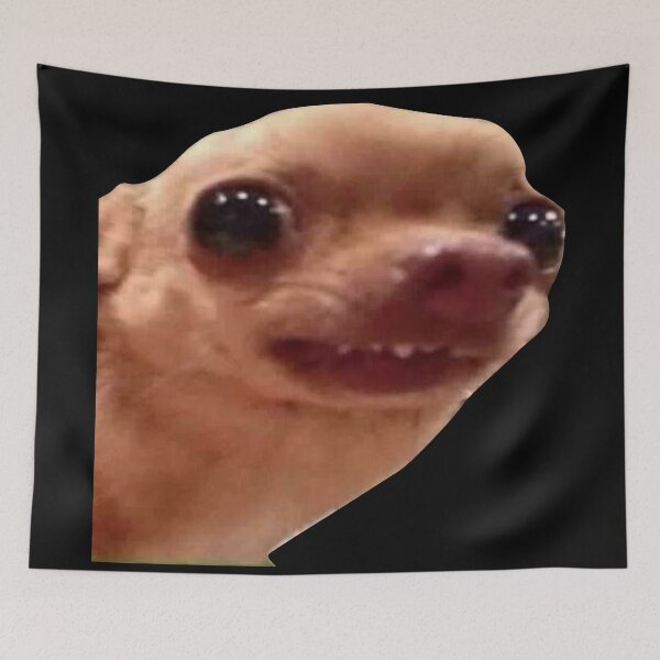 Item preview, Cute little Chihuahua meme designed and sold by los-memes.
