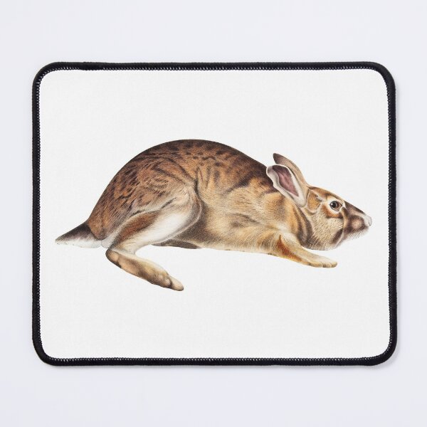 Item preview, Big Hare designed and sold by SowCow.
