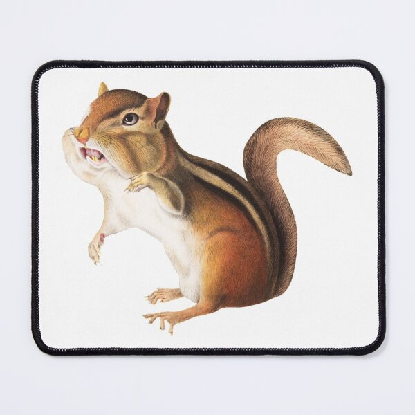 Item preview, Chipmunk  designed and sold by SowCow.