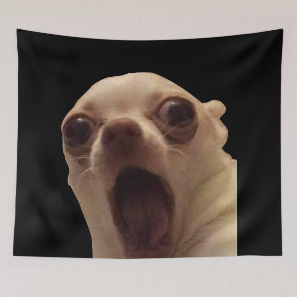 Item preview, Suprised dog meme designed and sold by los-memes.