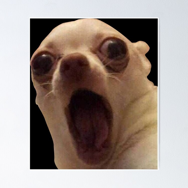 Suprised dog meme Sticker