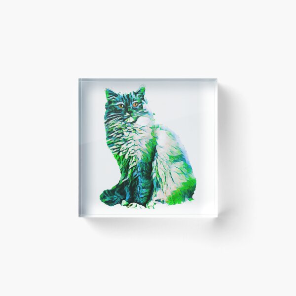 Item preview, Ragdoll cat TSHIRT designed and sold by GOLDFAMILYSHOP.