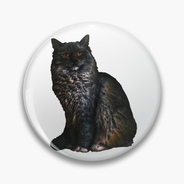 Artikelvorschau, Ragdoll Katze TSHIRT entworfen und verkauft von GOLDFAMILYSHOP.