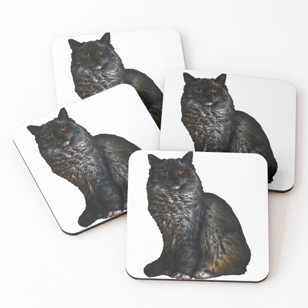 Item preview, Ragdoll cat TSHIRT designed and sold by GOLDFAMILYSHOP.