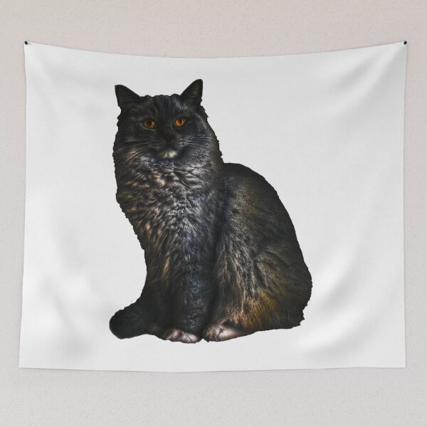 Item preview, Ragdoll cat TSHIRT designed and sold by GOLDFAMILYSHOP.