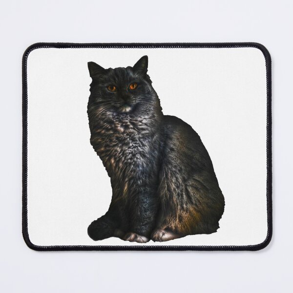 Item preview, Ragdoll cat TSHIRT designed and sold by GOLDFAMILYSHOP.