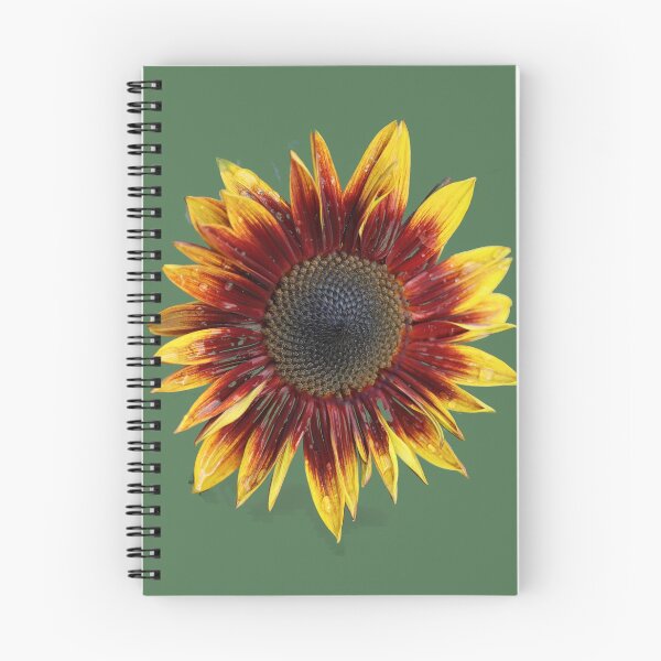 Item preview, Red Sun Flower With Yellow Tips designed and sold by Tom Janca.